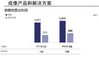 企業(yè)財(cái)務(wù)報(bào)告與互聯(lián)網(wǎng)數(shù)據(jù)中心 199it軟件外包服務(wù)的發(fā)展趨勢(shì)