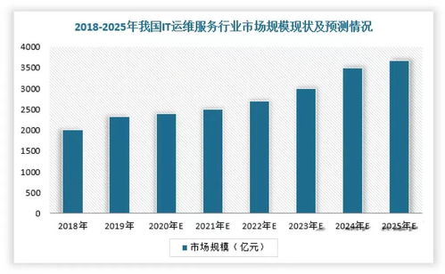 2024年中國(guó)IT服務(wù)行業(yè)研究報(bào)告 軟件外包服務(wù)的演進(jìn)、挑戰(zhàn)與機(jī)遇
